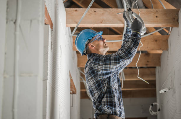 Best Ceiling Fan Installation Electrician  in Wallace, NC