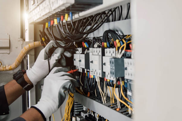 Best Electric Panel Repair  in Wallace, NC