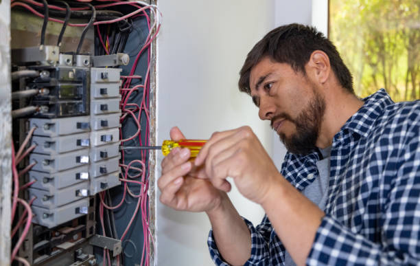 Best Electrical Troubleshooting Services  in Wallace, NC